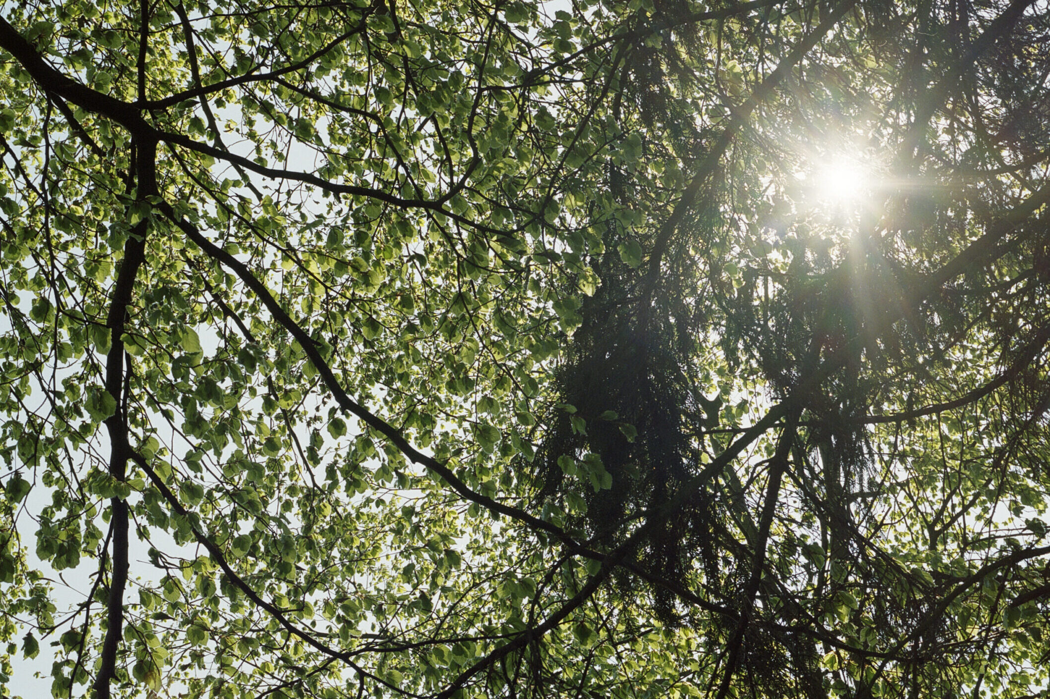 cropped-cropped-Untitled11-copy-scaled-1-1.jpg